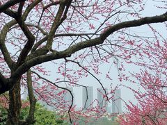 -重庆彩云湖湿地公园