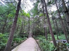 -洛阳白云山景区