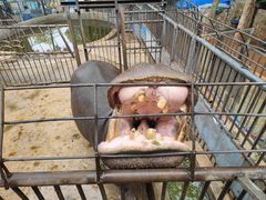-昆明动物园