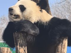-秦皇岛野生动物园