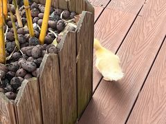 -伴山茶苑·围炉煮茶