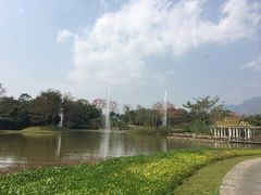 -中国科学院西双版纳热带植物园