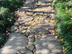 -杭州植物园