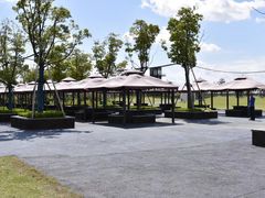 -春花秋色城市公园