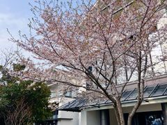 -苏州独墅湖世尊酒店