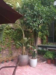 -非常六加一儿童摄影(同安店)