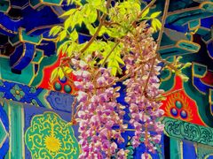 -北京国子监胡同