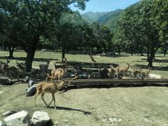 -西安秦岭野生动物园