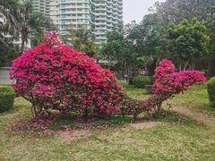 -北海市海滨公园