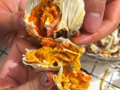-黄记大闸蟹专卖店·活蟹·醉蟹