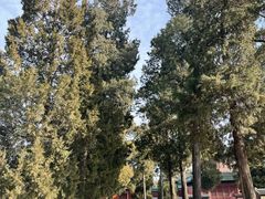 -历代帝王庙博物馆