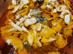 -佳兰雅序融合菜(高新店)