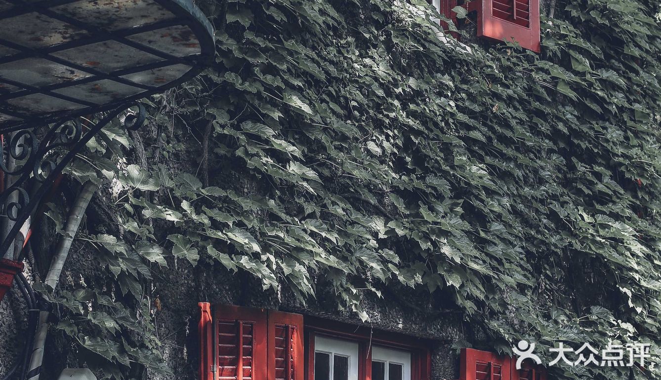 如果你到上海，一定要来思南路看看