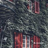 如果你到上海，一定要来思南路看看