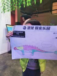 点击看大图 -恐龙探索乐园(磁器口店)