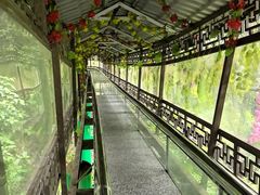 -常德桃花源景区