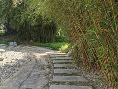 -厦门园林博览苑