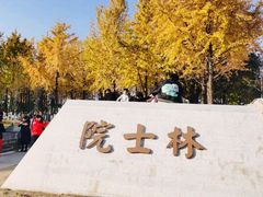 -月湖公园