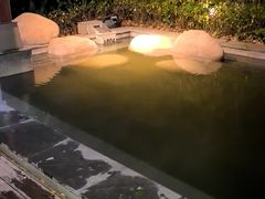 -天目湖御水温泉·度假酒店