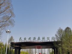 -黄海国家森林公园