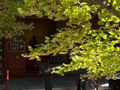 -红螺寺