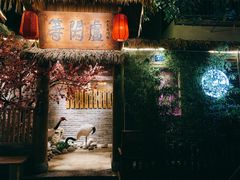 -泡桐树街