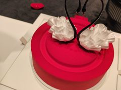 -BLACKSWAN黑天鹅(环球店)