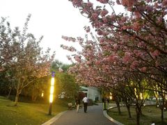 -苏州河梦清园环保主题公园