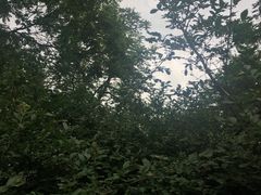 -玲珑塔公园