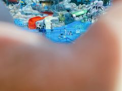 -青岛东方影都融创水世界