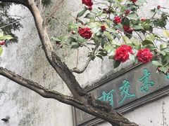 -留园