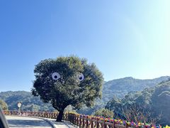 -广州市石门国家森林公园
