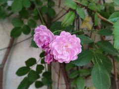 -瓦舍茶馆(聚源路店)