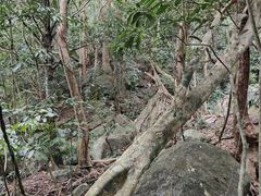 -七仙岭温泉国家森林公园