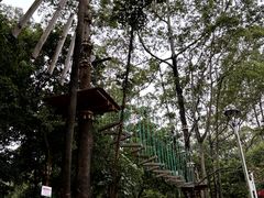 -大雁山风景区