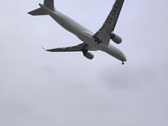 -空港花田景区