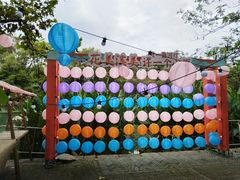 -花溪公园