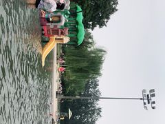 -柳浪游泳场
