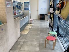 -蕃茄田艺术(普陀长风大悦城中心)