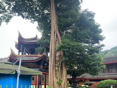 -峨眉山报国寺
