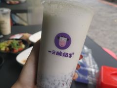 -一只酸奶牛(奎星楼店)