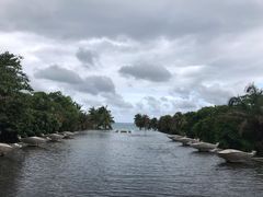-亚龙湾喜来登·美景台大堂吧
