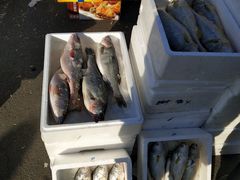 -沈阳水产批发市场