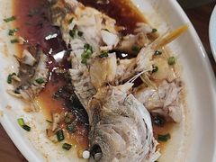 -洲晓鲜·舟山海鲜大排档(朱家尖风景区店)