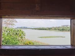 -华侨城湿地公园