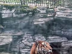 -贵州森林野生动物园