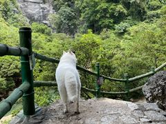 -香桥岩溶国家地质公园