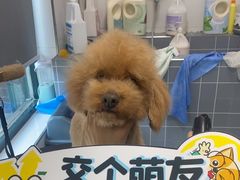 -宠颐生动物医院·心脏科·保险定点(锦阳分院)