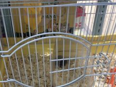 -FAELING PETS美天灵宠物(合生汇店)