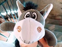 -纪念日百货(江西南昌店)